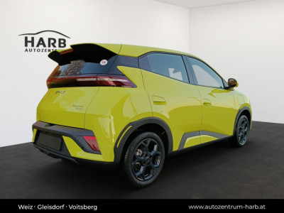 BYD Dolphin Surf Vorführwagen