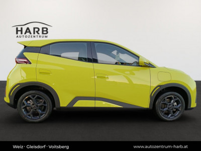 BYD Dolphin Surf Vorführwagen