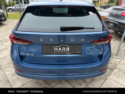 Skoda Octavia Gebrauchtwagen