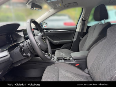 Skoda Octavia Gebrauchtwagen