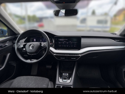 Skoda Octavia Gebrauchtwagen