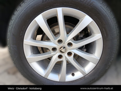 Skoda Kodiaq Gebrauchtwagen