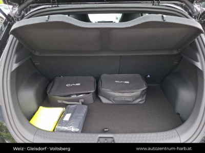 BYD Dolphin Surf Vorführwagen