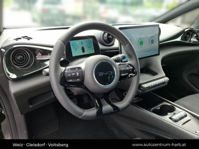 BYD Dolphin Surf Vorführwagen