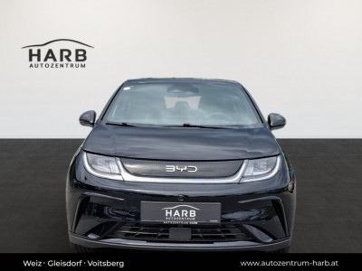 BYD Dolphin Surf Vorführwagen