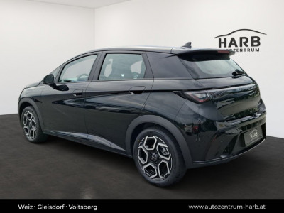 BYD Dolphin Surf Vorführwagen