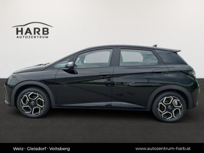 BYD Dolphin Surf Vorführwagen