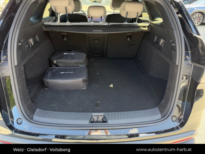 BYD Seal 6 Neuwagen BYD Seal 6 Neuwagen