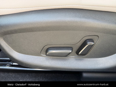 BYD Seal 6 Neuwagen BYD Seal 6 Neuwagen