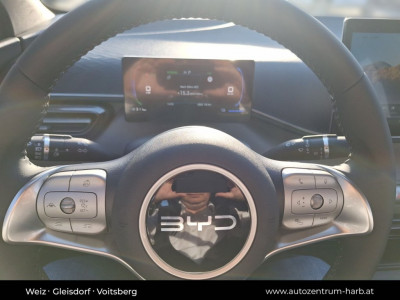 BYD Dolphin Surf Neuwagen