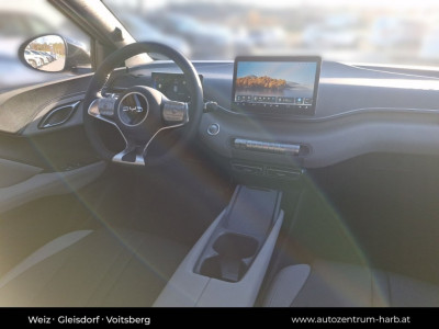 BYD Dolphin Surf Neuwagen