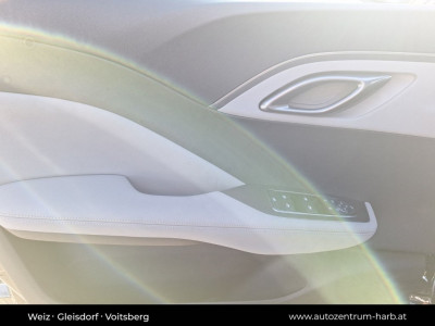BYD Dolphin Surf Neuwagen