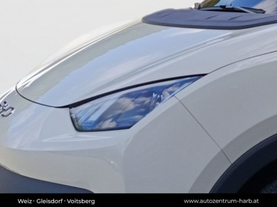 BYD Dolphin Surf Neuwagen