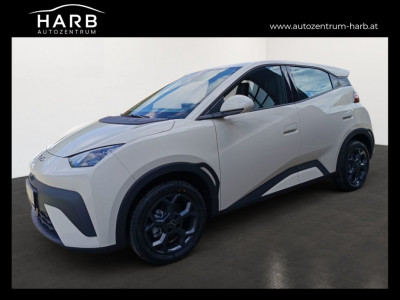 BYD Dolphin Surf Neuwagen