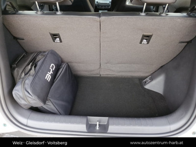 BYD Dolphin Surf Neuwagen