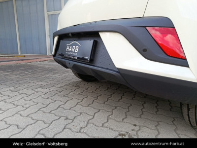 BYD Dolphin Surf Neuwagen