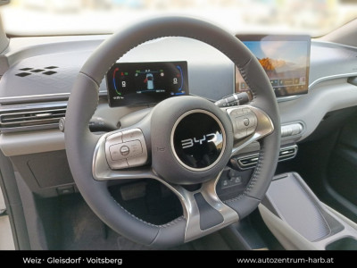 BYD Dolphin Surf Neuwagen