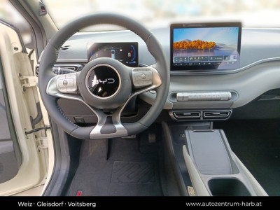 BYD Dolphin Surf Neuwagen