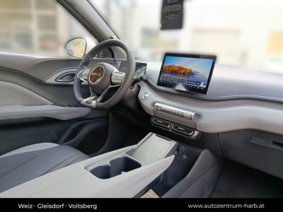BYD Dolphin Surf Neuwagen