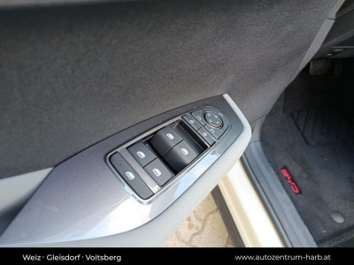 BYD Dolphin Surf Neuwagen