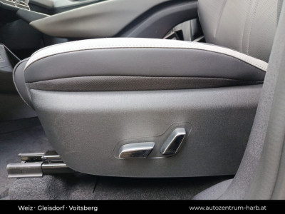 BYD Dolphin Surf Neuwagen