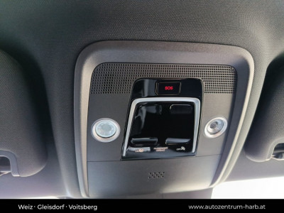 BYD Dolphin Surf Neuwagen