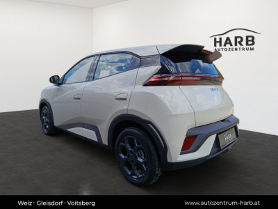 BYD Dolphin Surf Neuwagen