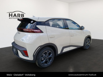 BYD Dolphin Surf Neuwagen