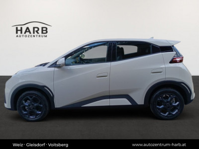 BYD Dolphin Surf Neuwagen