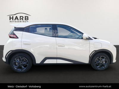 BYD Dolphin Surf Neuwagen