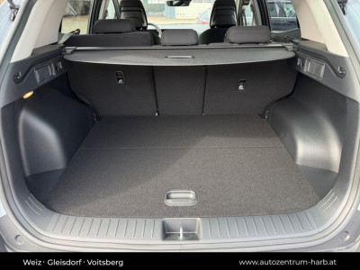 KIA Sportage Neuwagen KIA Sportage Neuwagen