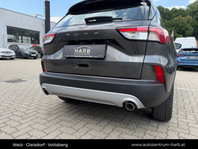 Ford Kuga Gebrauchtwagen