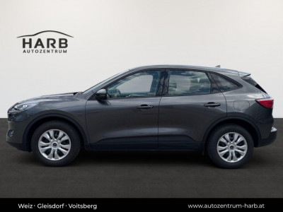 Ford Kuga Gebrauchtwagen