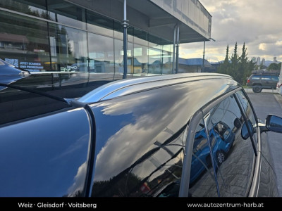 BYD Atto 2 Neuwagen BYD Atto 2 Neuwagen