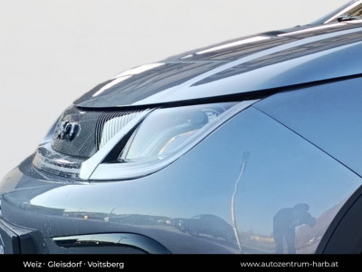 BYD Dolphin Neuwagen BYD Dolphin Neuwagen