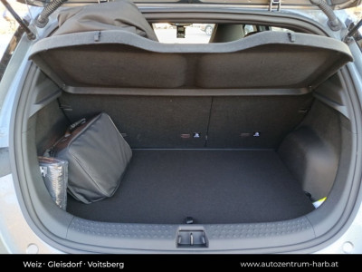 BYD Dolphin Neuwagen BYD Dolphin Neuwagen