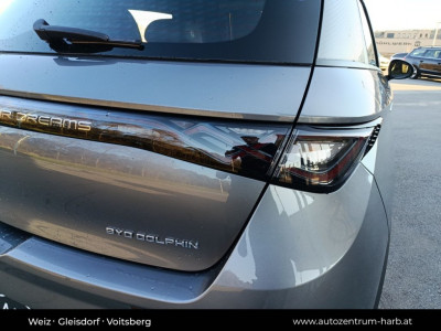 BYD Dolphin Neuwagen BYD Dolphin Neuwagen