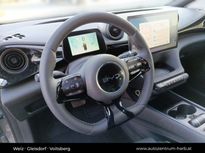 BYD Dolphin Neuwagen BYD Dolphin Neuwagen