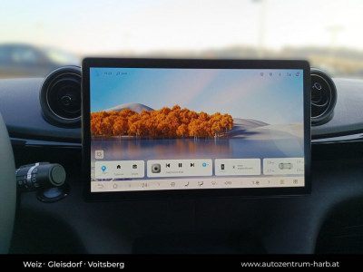 BYD Dolphin Neuwagen BYD Dolphin Neuwagen