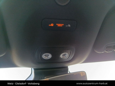 BYD Dolphin Neuwagen BYD Dolphin Neuwagen