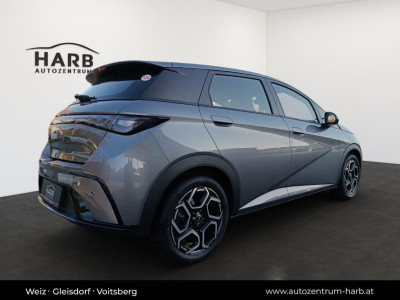 BYD Dolphin Neuwagen BYD Dolphin Neuwagen