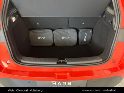 BYD Dolphin Neuwagen BYD Dolphin Neuwagen