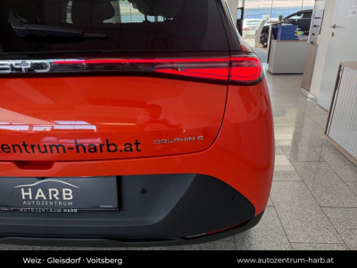 BYD Dolphin Neuwagen BYD Dolphin Neuwagen
