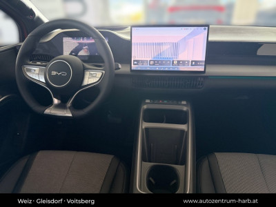 BYD Dolphin Neuwagen BYD Dolphin Neuwagen