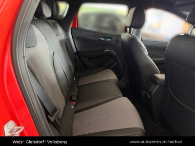 BYD Dolphin Neuwagen BYD Dolphin Neuwagen