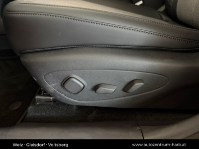 BYD Dolphin Neuwagen BYD Dolphin Neuwagen