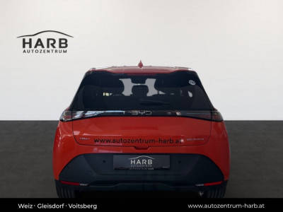 BYD Dolphin Neuwagen BYD Dolphin Neuwagen