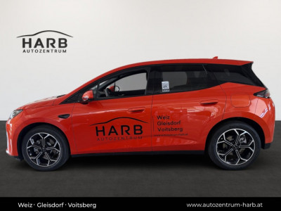 BYD Dolphin Neuwagen BYD Dolphin Neuwagen