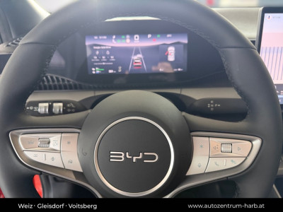 BYD Dolphin G Vorführwagen