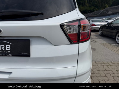 Ford Kuga Gebrauchtwagen Ford Kuga Gebrauchtwagen